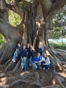 Long Mobility in Cádiz – Week 5 and 6